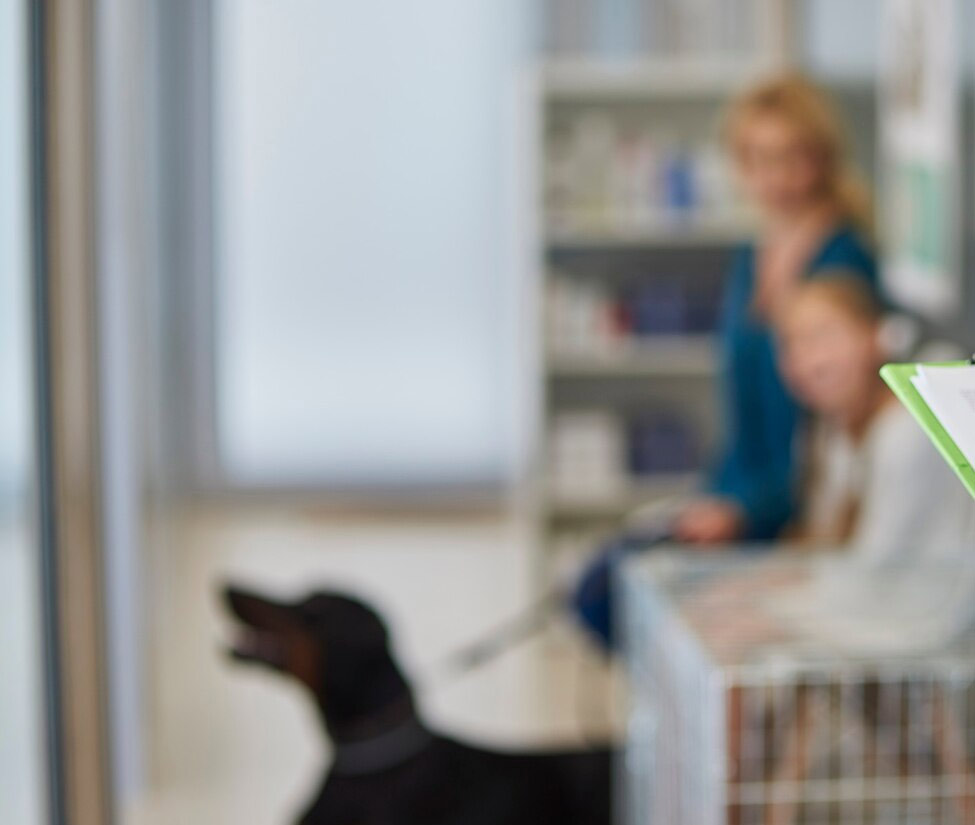 Veterinario 24 ore Rende