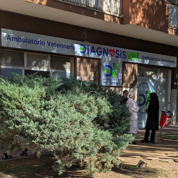 Ambulatorio veterinario Diagnosisvet a Cosenza