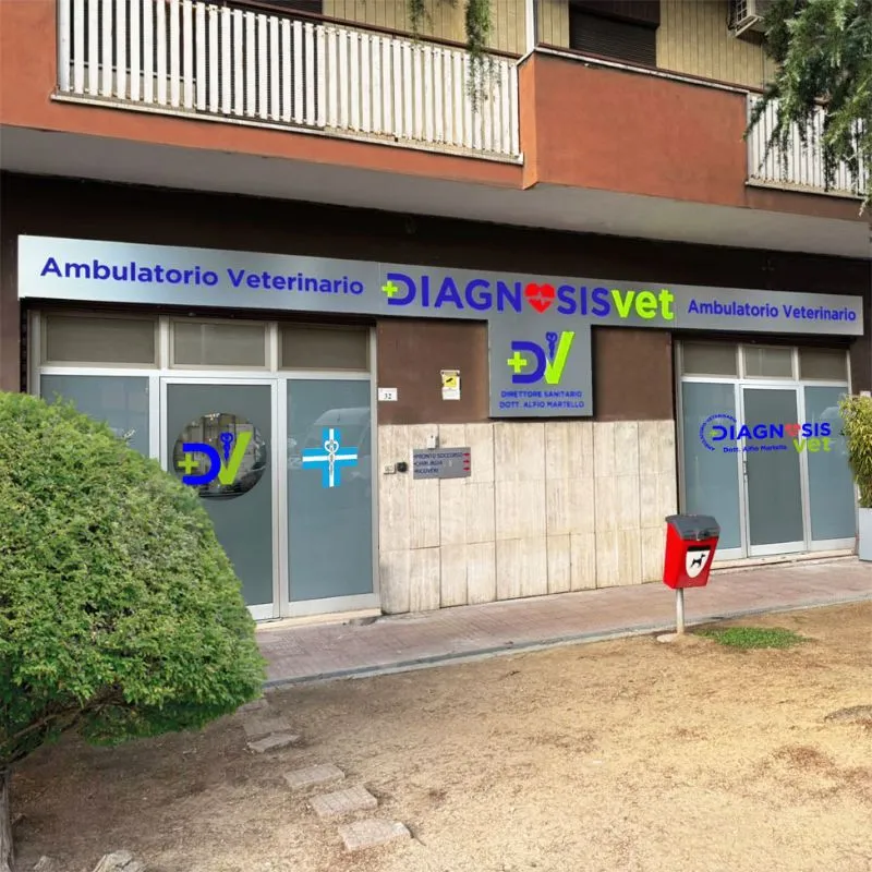 Ambulatorio veterinario Diagnosisvet, Cosenza