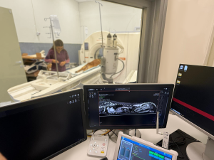 Unica tomografia computerizzata in Calabria da DiagnosisVet a Cosenza