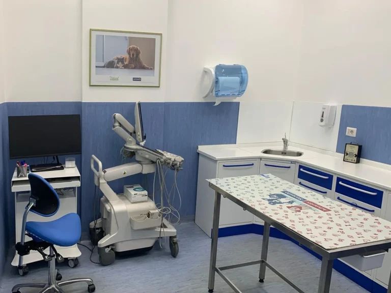 Ambulatorio tc Cosenza Diagnosisvet