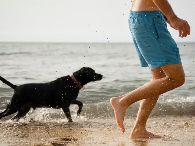 Vacanze a quattro zampe: i consigli di Alfio Martello