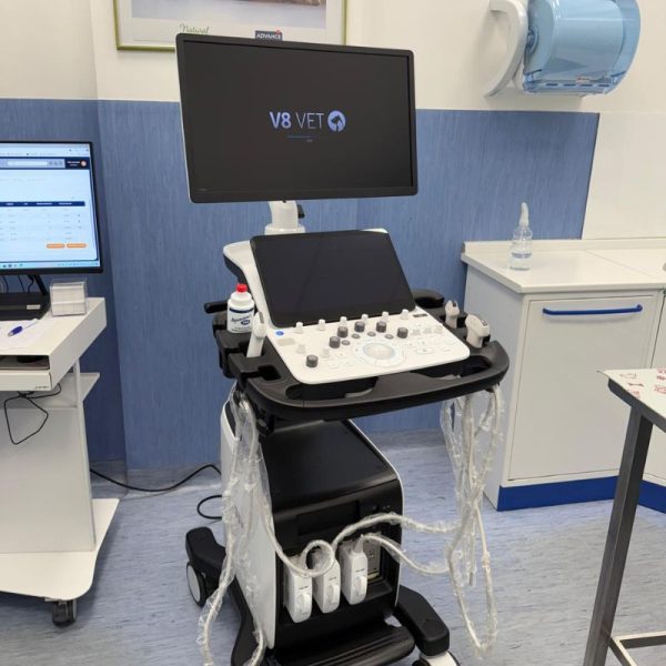 Ambulatorio veterinario Diagnosisvet a Cosenza con il nuovissimo ecografo V8 della Samsung top di gamma per cardiologia ed ecografie addominali